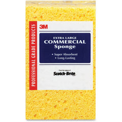 SPONGE,COMM SIZE,24/CS