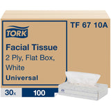 TISSUE,FCL,FLTBX,30/100