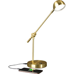 LAMP,OL WNS DIR LED DK LM