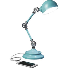 LAMP,OL WNS RV LED DK,TUR