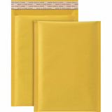 MAILER,BBL,6X9#0,25,BRKR