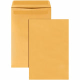 ENVELOPE,CAT,10X15,28#