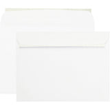 ENVELOPE,BKLET,9X12WE,RST
