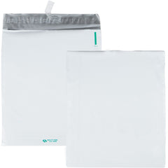 ENVELOPE,11X13X2,MAILR,WE