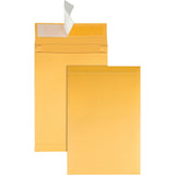 ENVELOPE,9X12X2,40#,25/PK