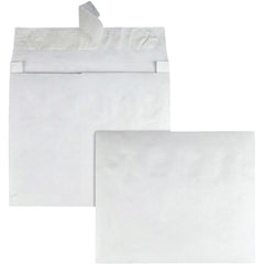 ENVELOPE,TYVK,10X13X2,WE