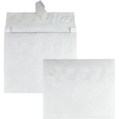 ENVELOPE,TYVK,10X13X2,WE