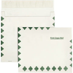 ENVELOPE,TYVK,10X13X2,FCB