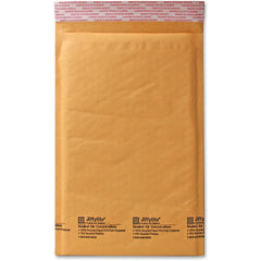 MAILER,BUBBLE,6X10,25CT